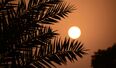 What Is the Color of the Sun Red or White